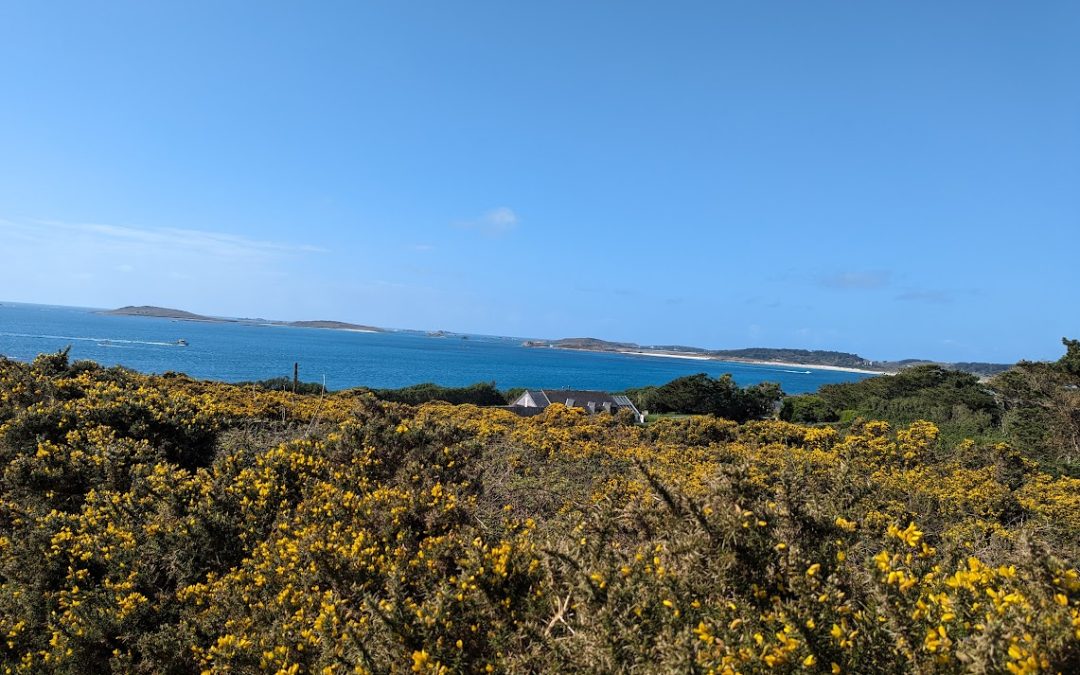 View across gorse upland on island showing isolated house and bluse seas and sky around